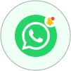 whats app notification